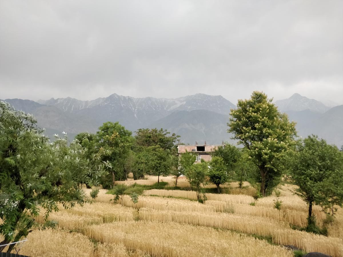 D'Polo Club & Spa Resort Дхарамсала Екстериор снимка